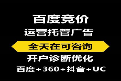 竞价广告策略案例分析